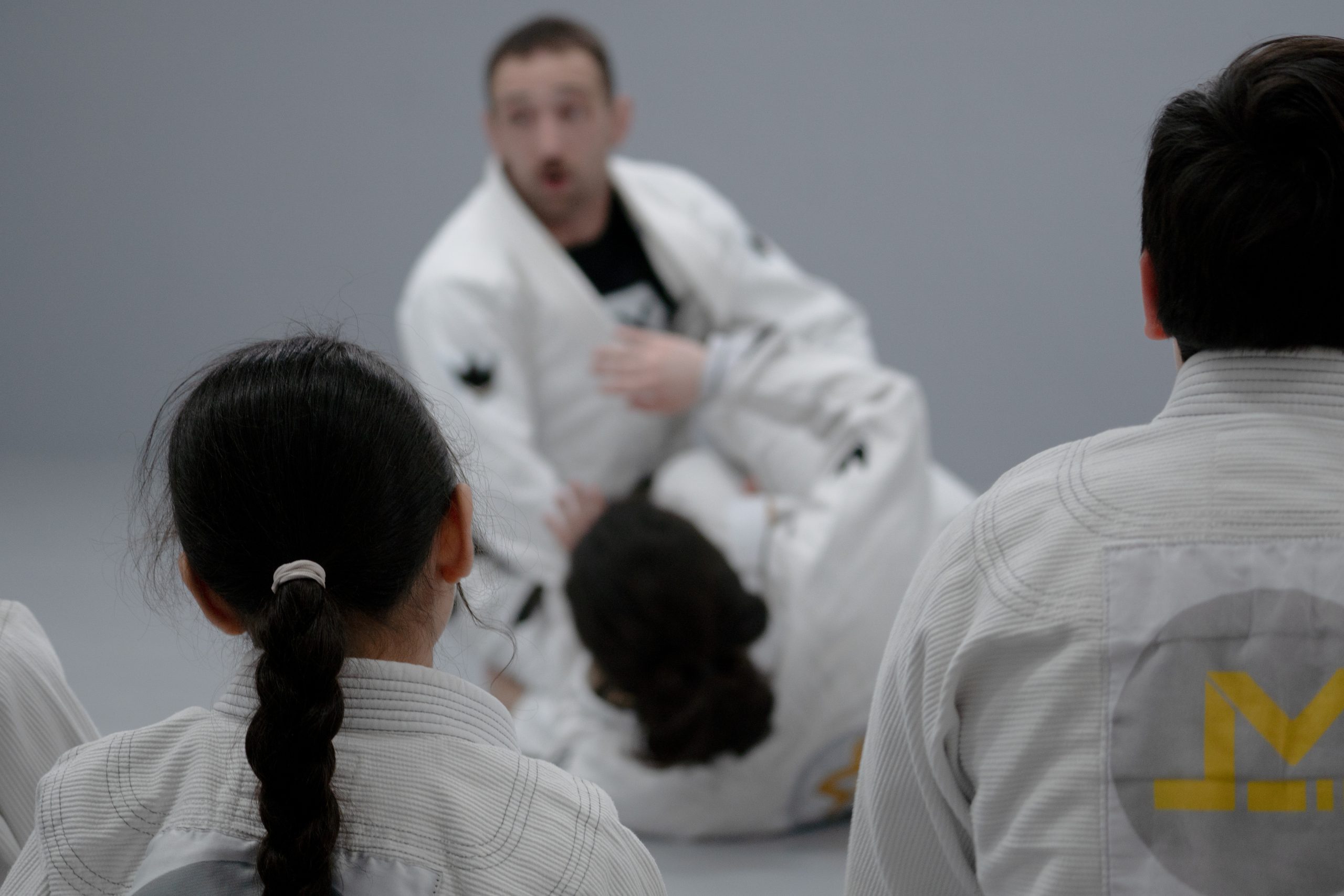 Brazilian Jiu-Jitsu / grappling